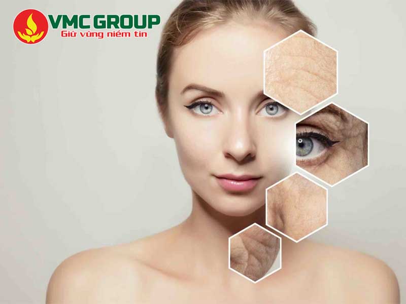 Công dụng của chất chống oxy hóa đối với làn da 